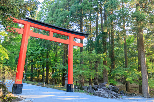 霧島神宮 鹿児島県霧島市 Kirishima Jingu Kagoshima-ken Kirishima city