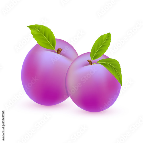 Vector plum. Sweet summer fruits isolated on white background. Two realistic plums with green leaves. Vector 3d illustration EPS10