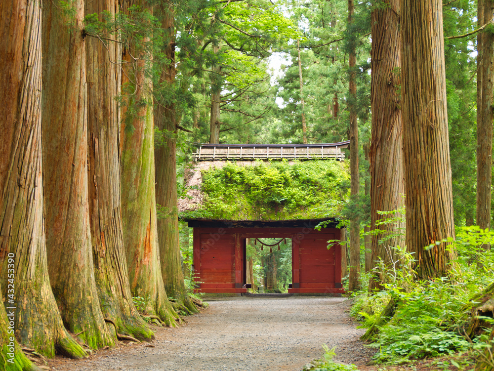 戸隠神社奥社の杜 随神門 Stock Photo | Adobe Stock