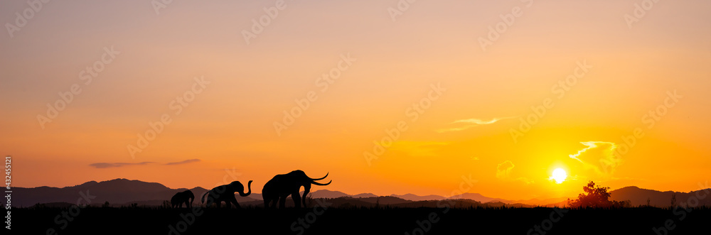 Silhouette of African safari scene with animals.sunset background landscape scene.Dark tree on open field dramatic sunrise.Safari theme.
