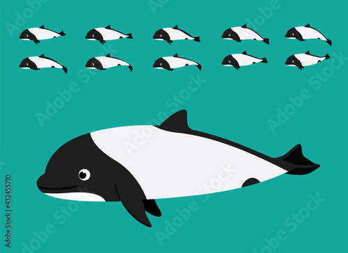 Animal Animation Commerson s Dolphin Cartoon Vector Sequence Frame
