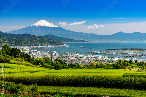 日本平から新緑のお茶畑/清水港越しの駿河湾と富士山