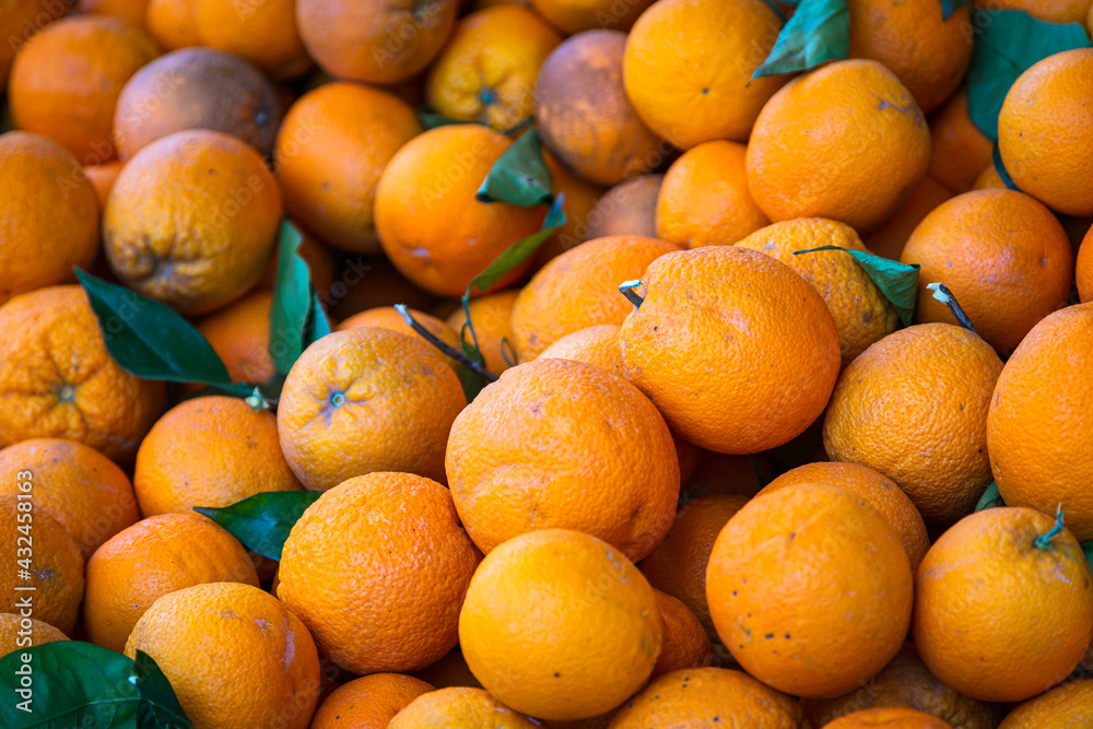 Oranges background. Fresh oranges variety grown in the shop. Oranges suitable for juice, strudel, Orange puree, compote Oranges background. Fresh oranges variety grown in the shop. Oranges suitable for juice, strudel, Orange puree, compote