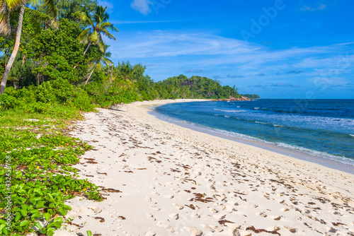 Wild Grand Anse beach on the Praslin island in Seychelles photo