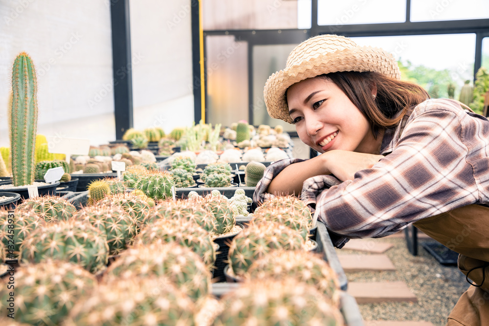 Obraz premium Asian beautiful farmer looking and check young Echinopsis cactus in local farm on plants background. Decorative plants can be used to decorate the living room and meeting room or on the desk.