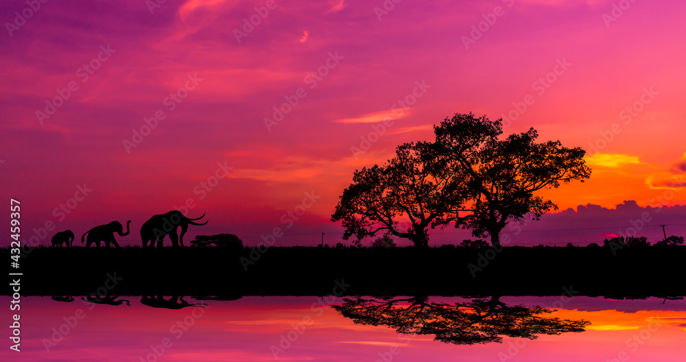 african safari sunset wallpaper