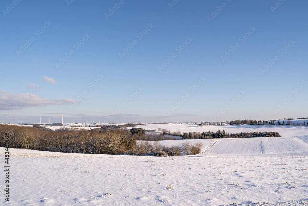 Winter landscape with trees and blue sky 