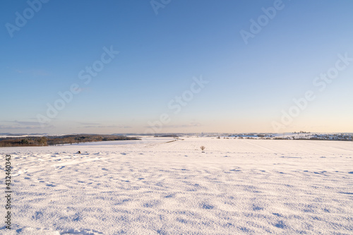 Winter landscape with snow and blue sky 