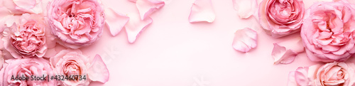 Flowers composition. Rose flower petals on pastel pink background.