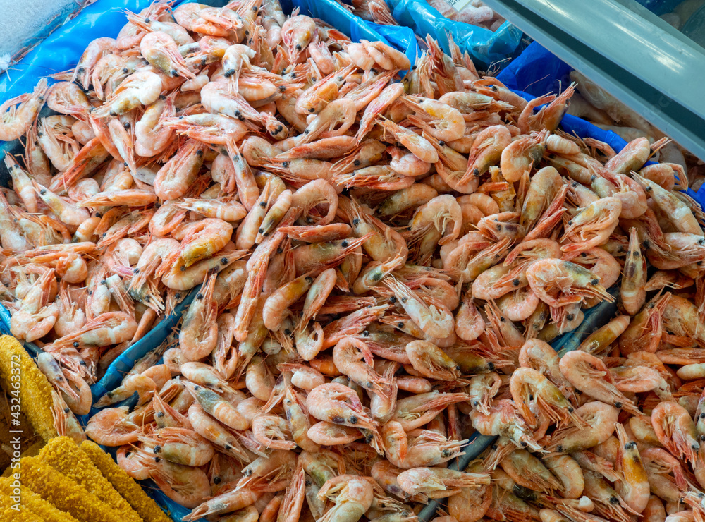 Frozen shrimp. Shrimps are red, boiled and frozen. Concept of diet and consumption of sufficient protein Frozen shrimp. Shrimps are red, boiled and frozen. Concept of diet and consumption of sufficient protein