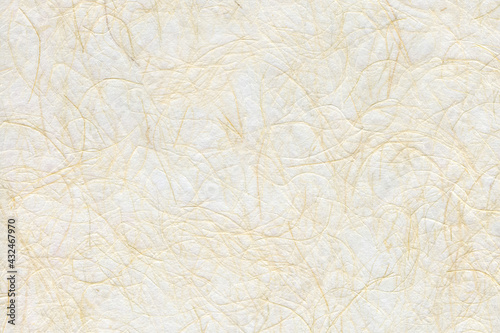 和紙テクスチャー背景(白色) 筋と凹凸がある白い和紙