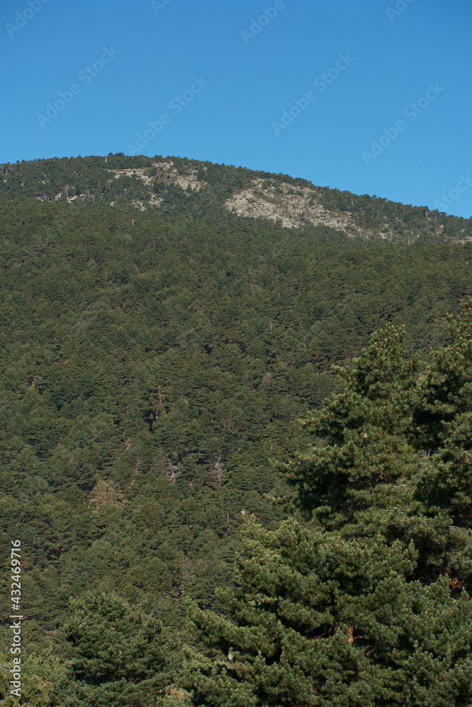 góry krajobraz widok zieleń drzewa przyroda
