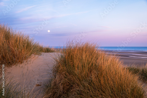 April full moon rising during sunset among the dunes of Camber Sands Rye East Sussex south east England photo