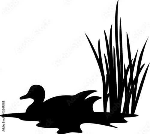 Vector illustration of the duck in the pond