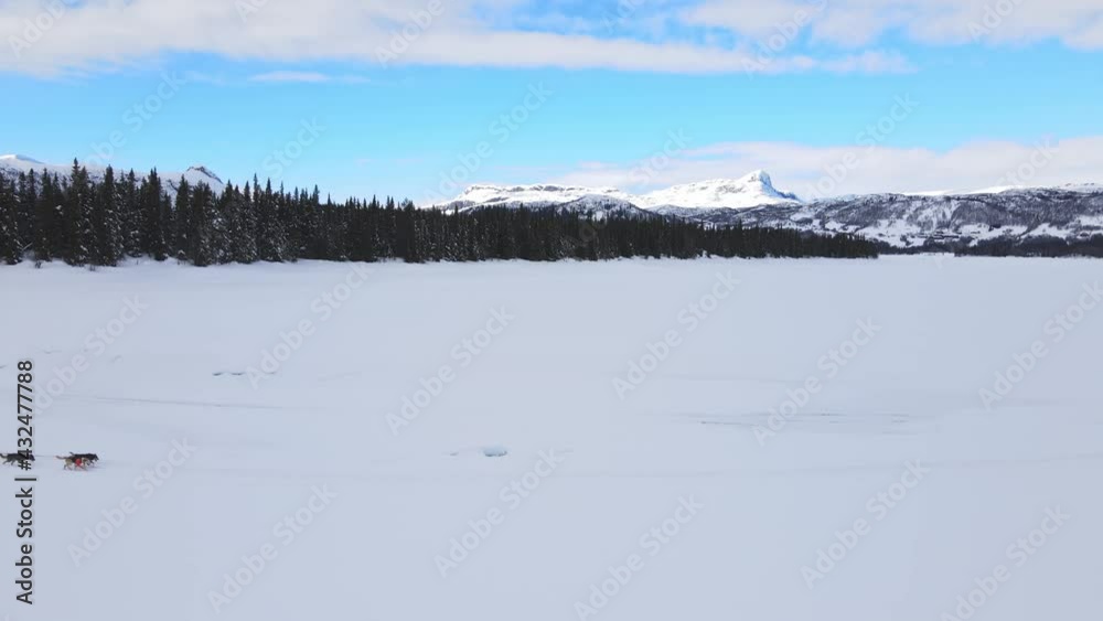 People driving a dog sled pulled by a Alaskan huskies on a frozen snowy lake. Aerial video. People driving a dog sled pulled by a Alaskan huskies on a frozen snowy lake. Aerial video.