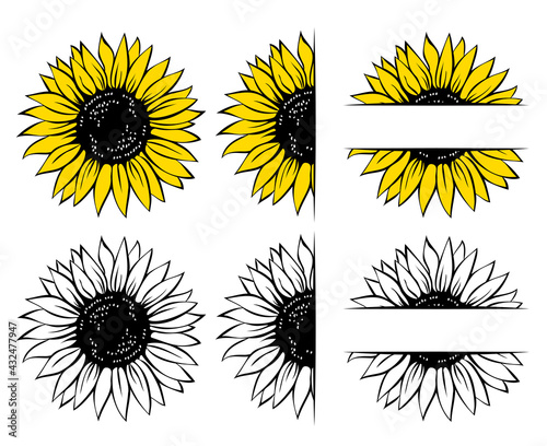Wild sunflower set, flower frame, vector illustration isolated on white background