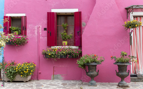 Bright pink houses with red window shutters and lots of flowers and plants in front in Burano, Venice, Italy