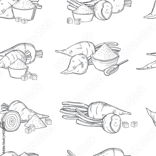 Sugar beet.  Vector   pattern.