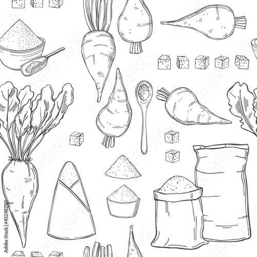 Sugar beet.  Vector   pattern.