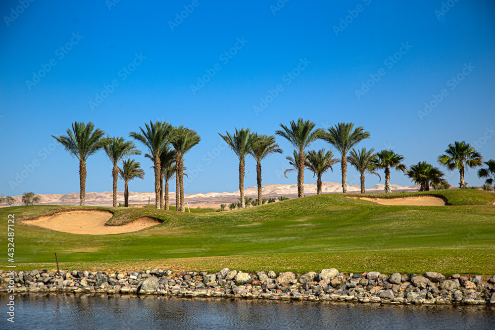 Golf field in the middle of palm trees and beautiful seashore at far east resort - obrazy, fototapety, plakaty 