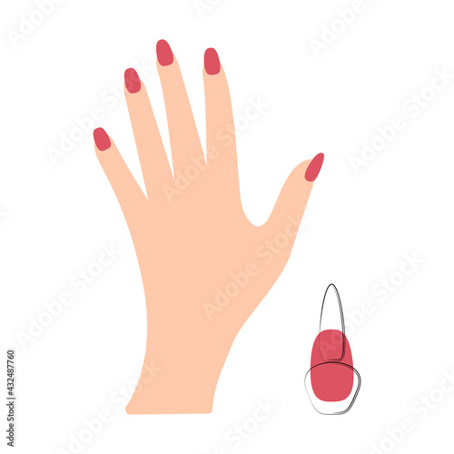 Hand with manicure, manicure salon care. Nail polish. Isolated, white background. Vector illustration