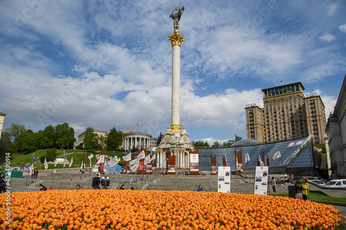 Large flowerbed of blooming tulips on Independence Square in Kyiv. May 2021