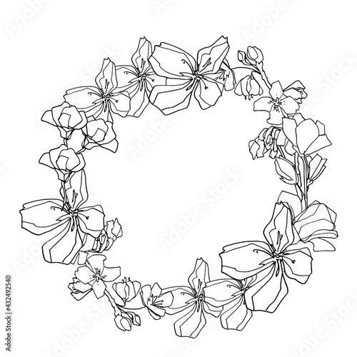 Round frame with buds of sakura, apple-cherry tree. Medicinal herbs, rapeseed. Beautiful hand-drawn graphics, coloring book for children. For textile, design, paper, banner. Stock graphics, isolate on