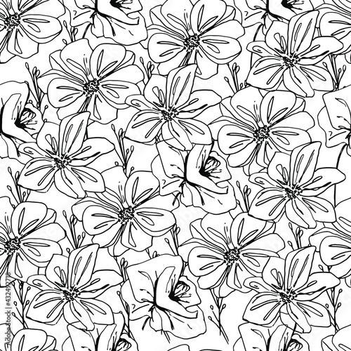 Summer pattern with wildflowers, dried flowers. Poppy, poppy box, medicinal herbs, spikelet. Beautiful hand-drawn graphics. For textile, wallpaper, design, paper, banner. Stock graphics, isolate. 