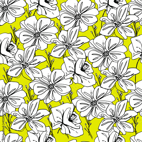 Summer pattern with wildflowers, dried flowers. Poppy, poppy box, medicinal herbs, spikelet. Beautiful hand-drawn graphics. For textile, wallpaper, design, paper, banner. Stock graphics, isolate. 