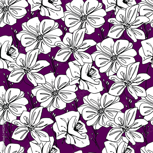 Summer pattern with wildflowers, dried flowers. Poppy, poppy box, medicinal herbs, spikelet. Beautiful hand-drawn graphics. For textile, wallpaper, design, paper, banner. Stock graphics, isolate. 