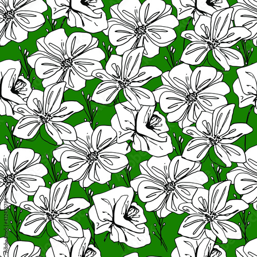Summer pattern with wildflowers, dried flowers. Poppy, poppy box, medicinal herbs, spikelet. Beautiful hand-drawn graphics. For textile, wallpaper, design, paper, banner. Stock graphics, isolate. 