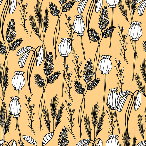Summer pattern with wildflowers, dried flowers. Poppy, poppy box, medicinal herbs, spikelet. Beautiful hand-drawn graphics. For textile, wallpaper, design, paper, banner. Stock graphics, isolate. 