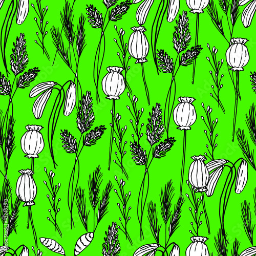 Summer pattern with wildflowers, dried flowers. Poppy, poppy box, medicinal herbs, spikelet. Beautiful hand-drawn graphics. For textile, wallpaper, design, paper, banner. Stock graphics, isolate. 