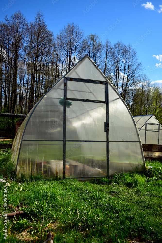 greenhouse in the spring
