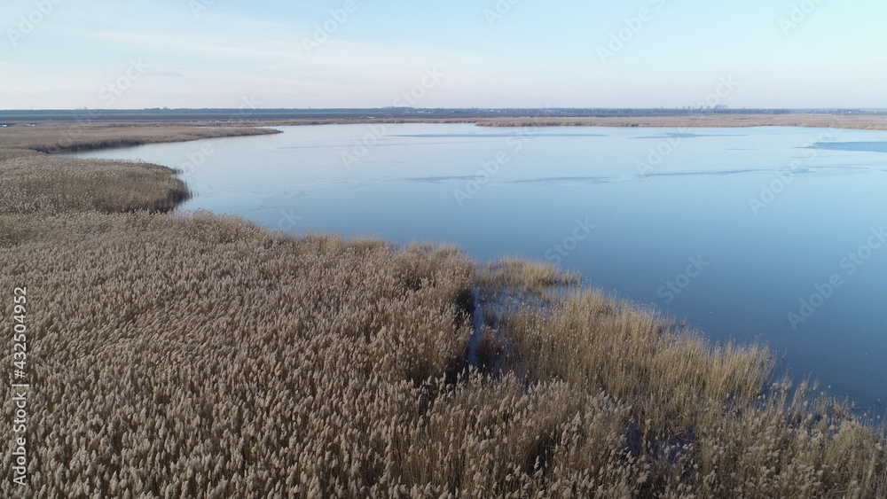 Aerial view of a swampy area surrounded by reed in January