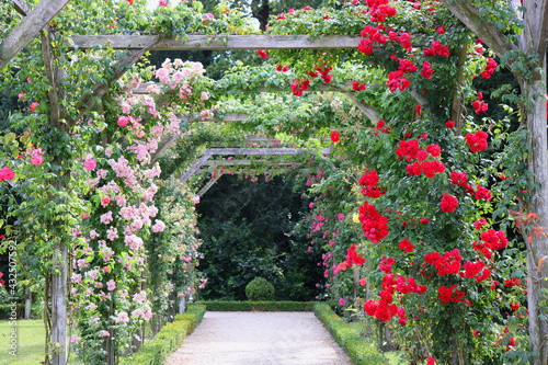 Billede på lærred Climbing roses in a series of square archways captured on a sunny summer day
