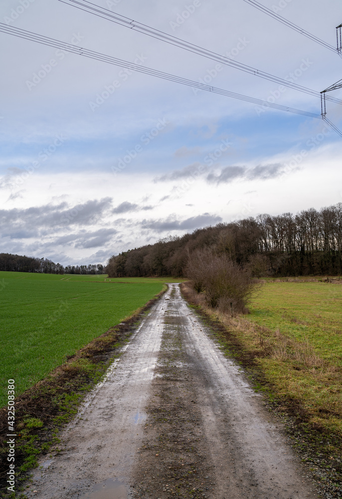 Country road after rain in landscape