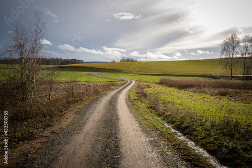 Dirt road between the fields in landscape