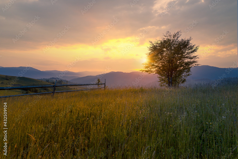 Beautiful green Carpathian mountains. Rural mountain landscape hills in scenic sunset light.