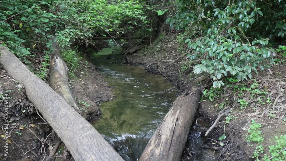 Andalusia’s Streams. Water and grass Andalusia’s Streams. Water and grass