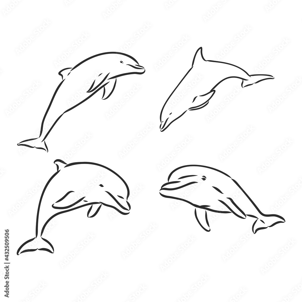 Obraz premium Dolphin Line Art Doodle, a hand drawn vector cartoon illustration of a cute dolphin.
