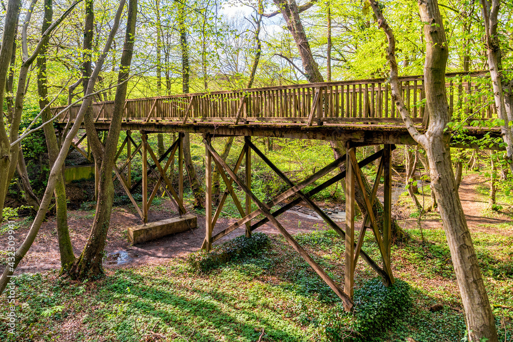 Brücke über den Katzenlochbach im Kottenforst Brücke über den Katzenlochbach im Kottenforst