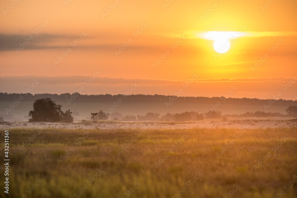 orange sunset sunrise in desert savanna  