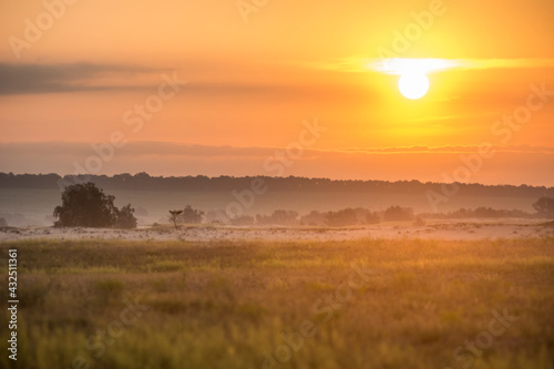 orange sunset sunrise in desert savanna  