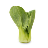 Bok choy (chinese cabbage) or pak choi isolated on white background clipping path