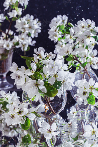 Bottles with flowers on a dark background. Apple tree branches with white flowers in cans of water.