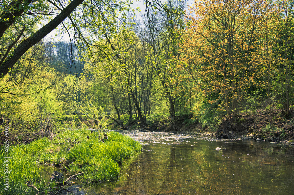 Sunny spring landscape. Trees at riverbank. At the River Enz in Oberriexingen, South Germany