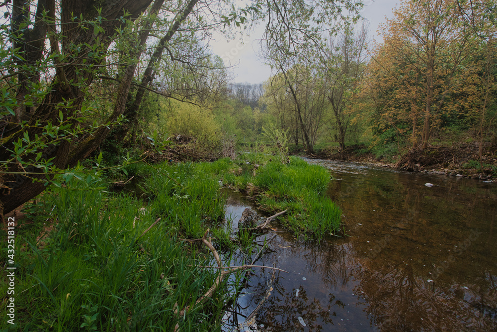 Sunny spring landscape. Trees at riverbank. At the River Enz in Oberriexingen, South Germany Sunny spring landscape. Trees at riverbank. At the River Enz in Oberriexingen, South Germany