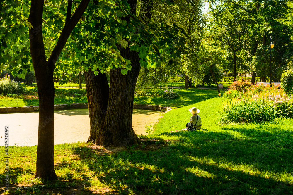 Woman in a hat sits on the shore of a pond in the park on a sunny morning in the shade of a tree