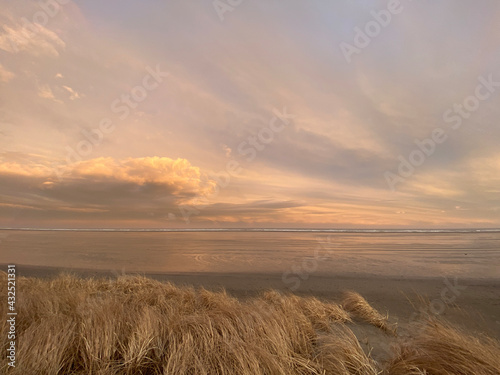 sunset over the field